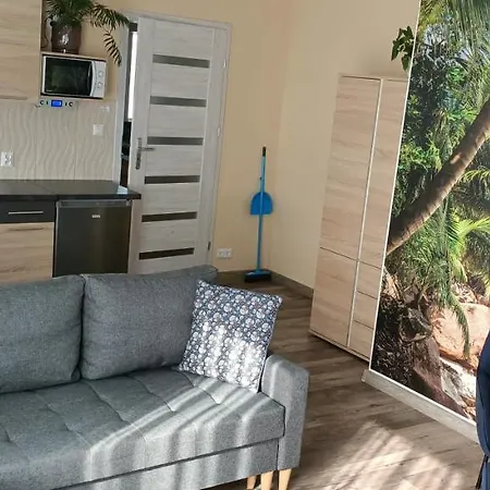 Modrzewiowe Tarasy アパート ホイニツェ